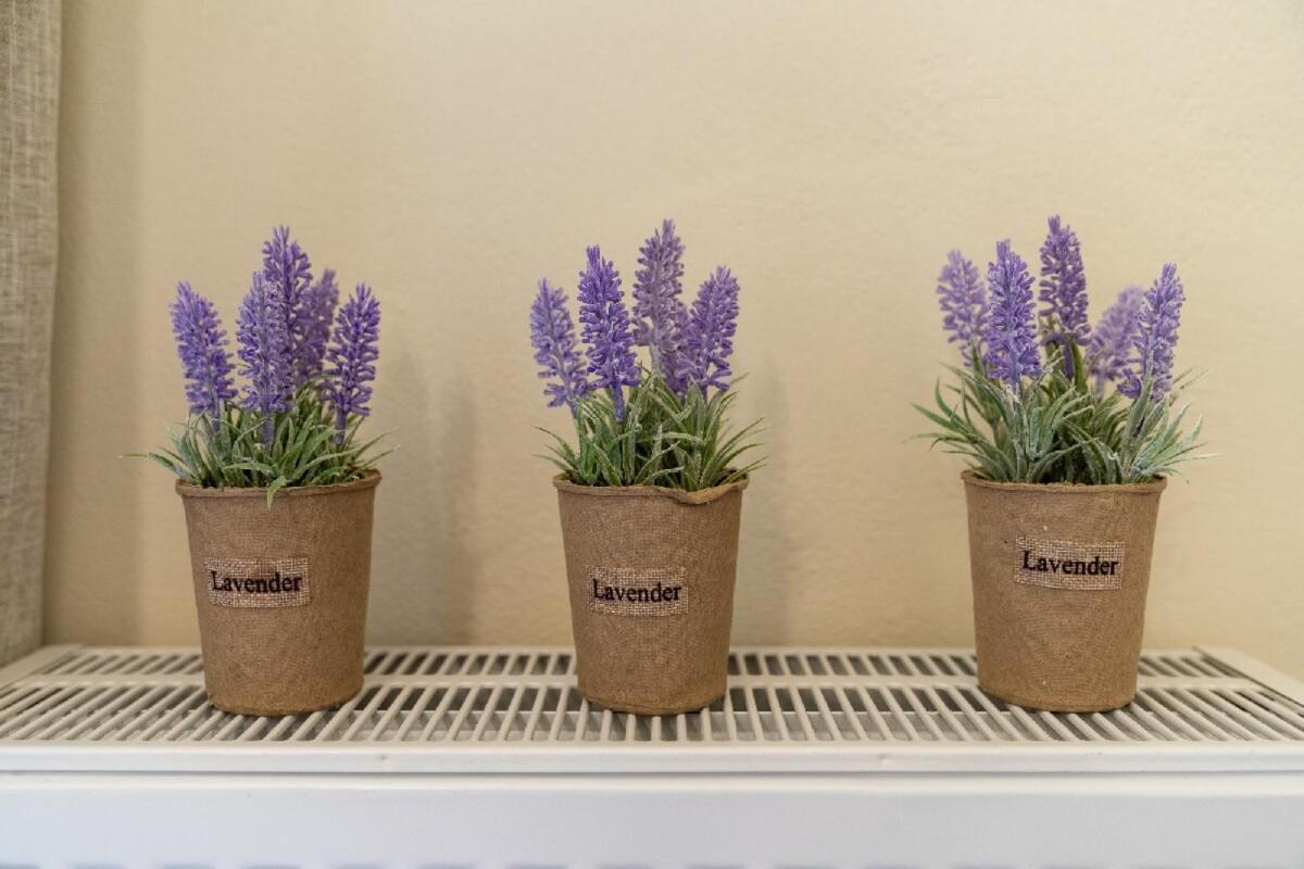 Blue Boutique Apts Amoudara Lasithiou 外观 照片